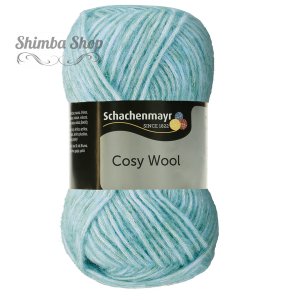 Cosy Wool 00065
